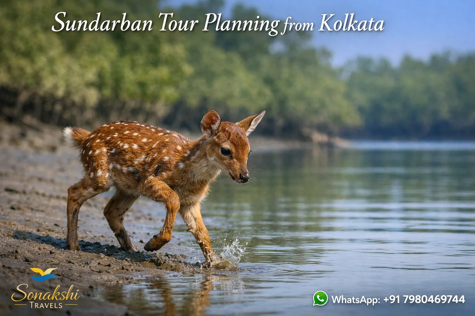 Sundarban Tour Planning from Kolkata