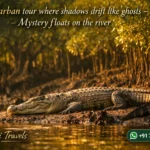 Sundarban tour where shadows drift like ghosts - Mystery floats on the river
