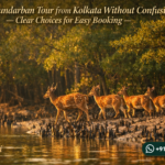Book Sundarban Tour from Kolkata Without Confusion - Clear Choices for Easy Booking