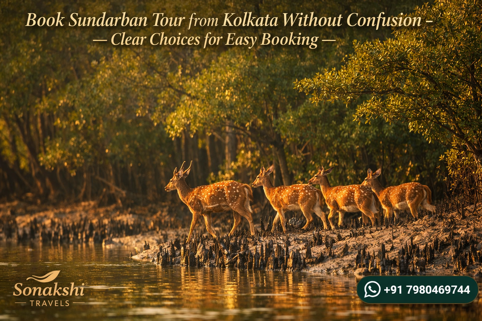 Book Sundarban Tour from Kolkata Without Confusion - Clear Choices for Easy Booking