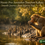Plan a Hassle-Free Sundarban Tour from Kolkata - Smooth Journey from Start to End