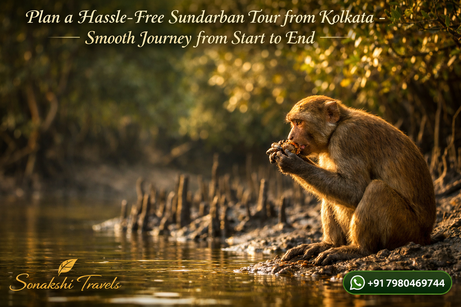Plan a Hassle-Free Sundarban Tour from Kolkata - Smooth Journey from Start to End