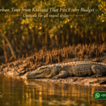 Sundarban Tour from Kolkata That Fits Every Budget - Options for all travel styles