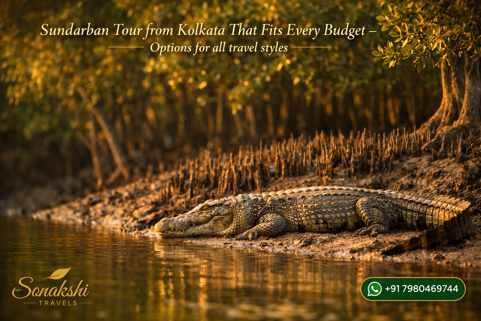 Sundarban Tour from Kolkata That Fits Every Budget - Options for all travel styles