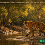 Sundarban-Tour-from-Kolkata-with-Best-Price-Deals-Save-More-with-Smart-Travel-Planning
