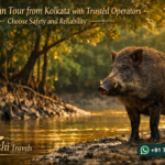 Sundarban Tour from Kolkata with Trusted Operators - Choose Safety and Reliability