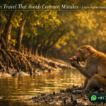 Sundarban Travel That Avoids Common Mistakes - Learn before booking your trip