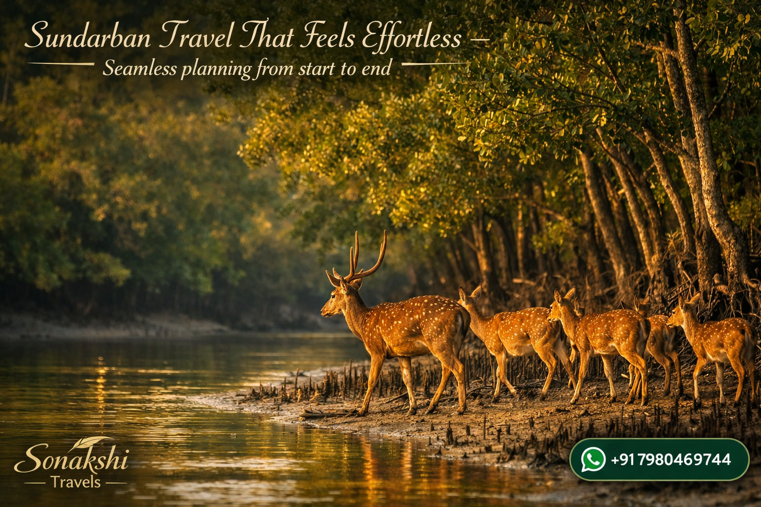 Sundarban Travel That Feels Effortless - Seamless planning from start to end