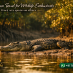Sundarban Travel for Wildlife Enthusiasts - Track rare species in silence