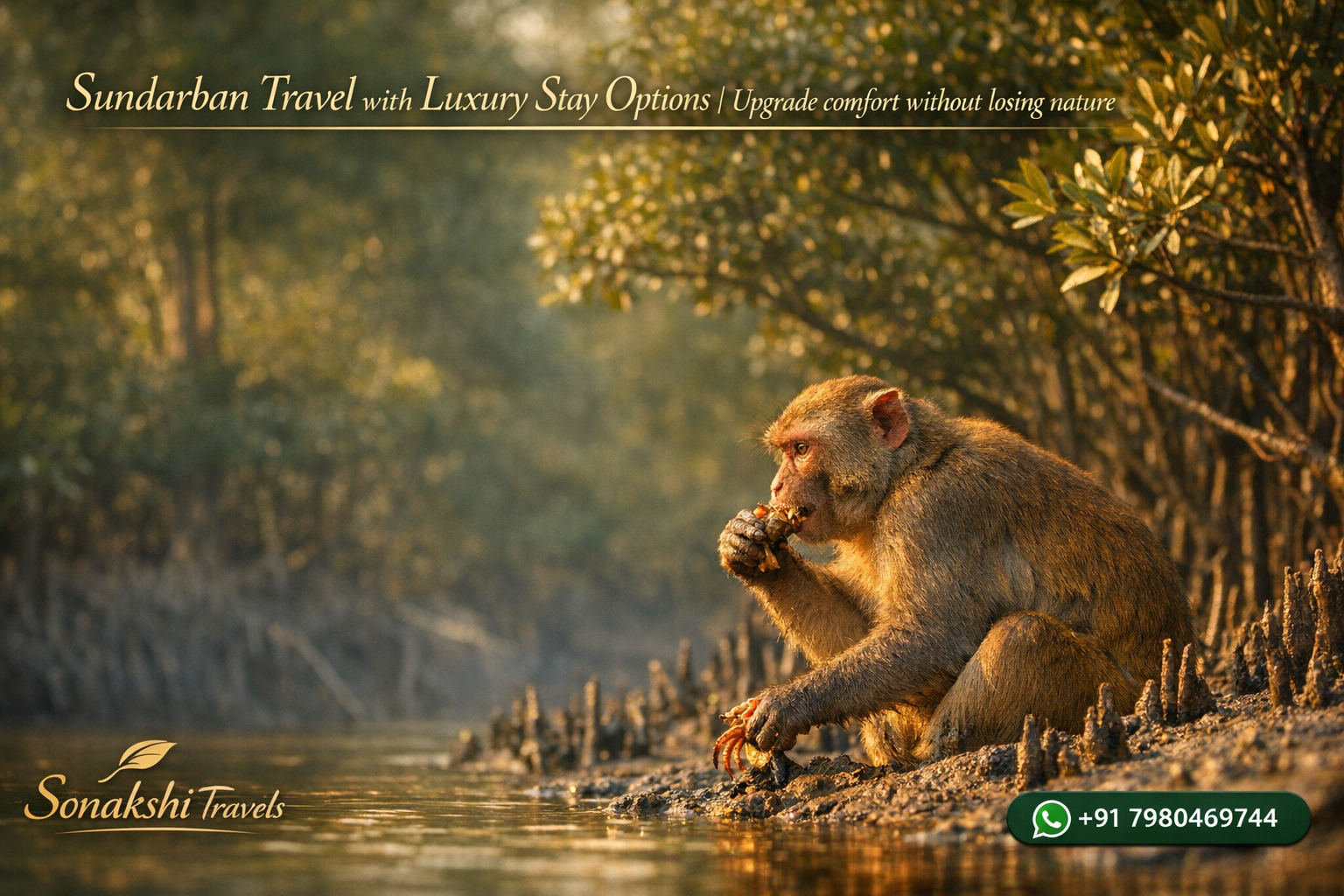 Sundarban Travel with Luxury Stay Options